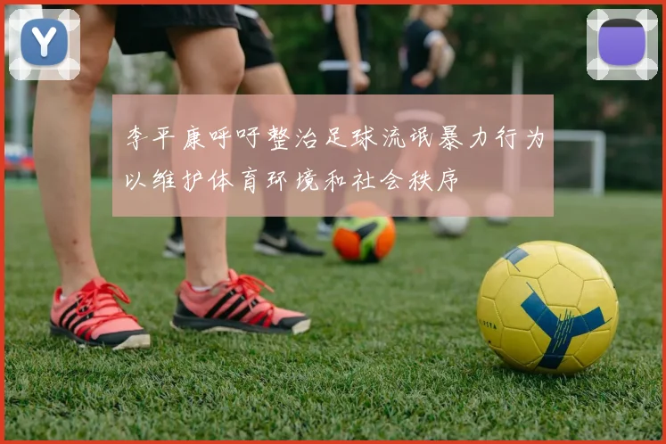 李平康呼吁整治足球流氓暴力行为以维护体育环境和社会秩序